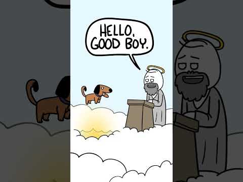 Dogs go to Heaven