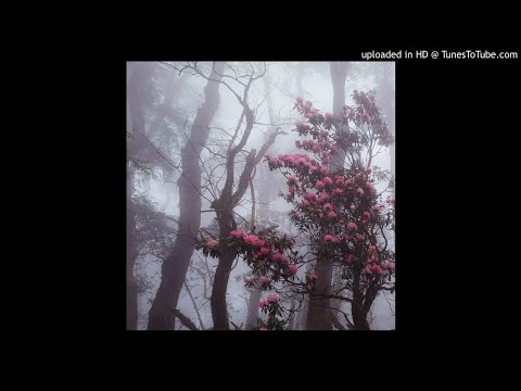 [FREE] JABO x VisaGangBeatz x MAYOT Type Beat - "Meek" (prod. k1llobyte)