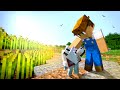 Life of a Farmer - Minecraft Movie