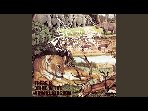 There Is Crime In The Animal Kingdom II