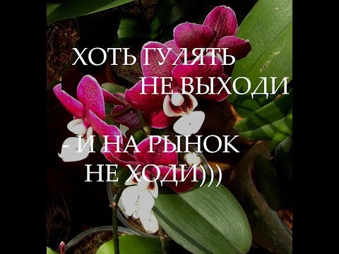 Мы снова сделали это...!)))))