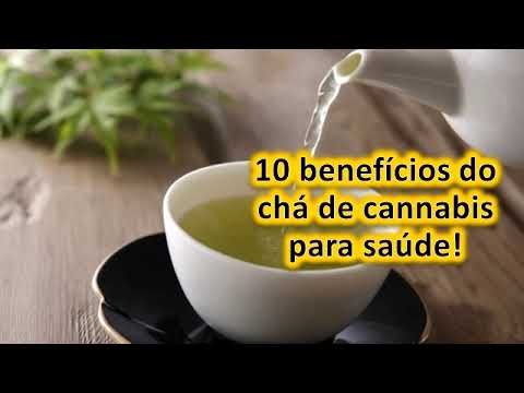 10 benefícios do chá de cannabis para saúde!