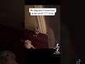 My dog don’t know how to do no f*cking trick- call 911