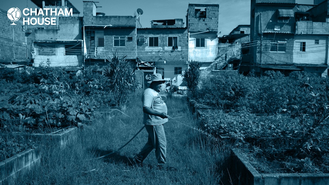 Can cities and states lead the shift to climate resilience?