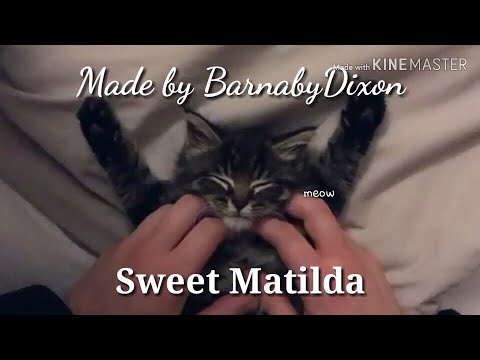 download lagu mp3 mp4 Sweet Matilda, download mp3 Sweet Matilda free download mp3, download mp3 Sweet Matilda