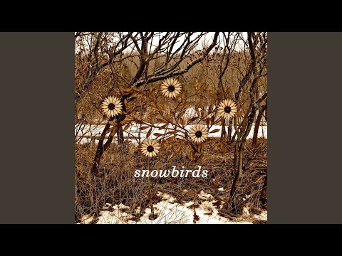 My Direction - Snowbirds