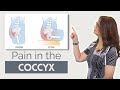 124 How To Treat Tailbone Pain Coccydynia