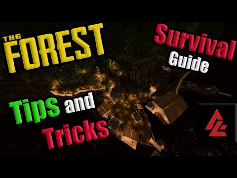 Things you NEED to start doing in The Forest | (The Forest - Tips, Tricks and Survival Guide)