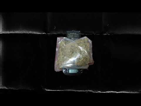 CJ x ACE x GANEW - VSICHKO TOCHNO, KANTARI / ВСИЧКО ТОЧНО, КАНТАРИ [AUDIO]