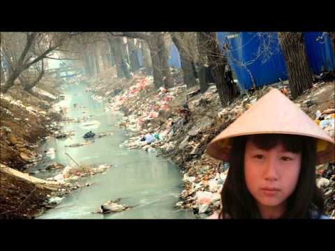 Acabemos con el hambre