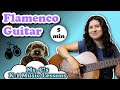 K 1 Elementary Music Lesson Clap Along To Flamenco Guitar Steady Beat