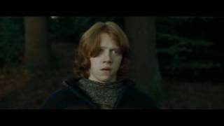 Ron and Hermione-Bleeding Love