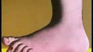 https://www.youtube.com/embed/yGx8T3XN86A