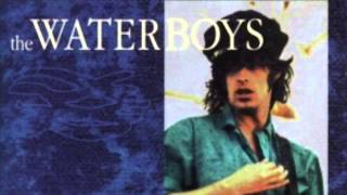 The Waterboys - The thrill is gone