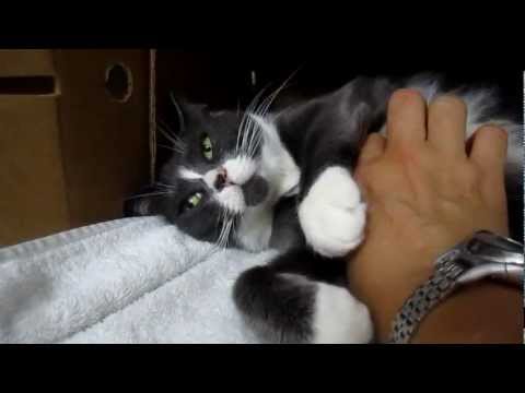 Mimi, my little mooshy monkey of sweetness