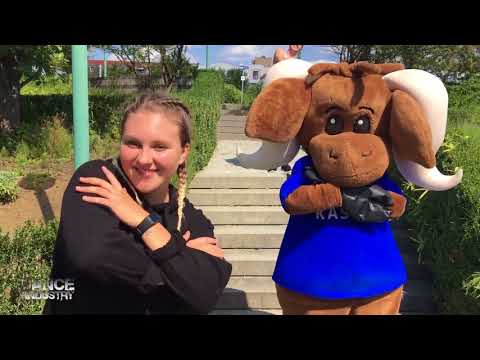 Reiters Kasimir Song ft. Dance Industry 2017