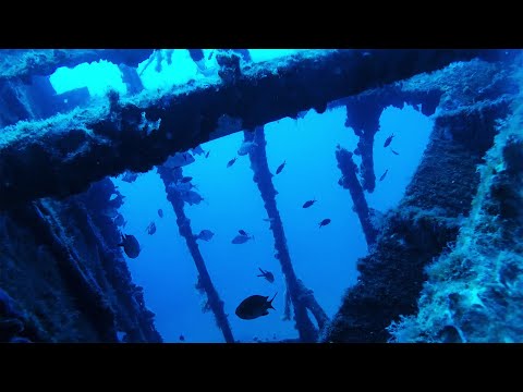 Amazing WW2 Shipwreck - S57 Torpedo boat   I   The Horizoners