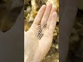 Armor Piercing Airsoft BBs Shorts
