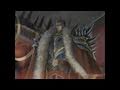 Fire Emblem Path Of Radiance GameCube Trailer E3 2005