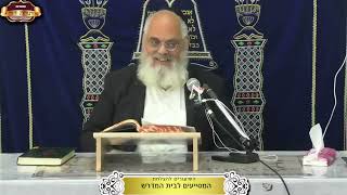 מהו שכרו של הבוטח בה' באופן מוחלט? ישעיה המשך פרק כ"ו ¤ הרב אברהם כהניאן ¤ כ"ח שבט תשפ"ו (15.2.2025) (מוסדות תורת דוד) - התמונה מוצגת ישירות מתוך אתר האינטרנט יוטיוב. זכויות היוצרים בתמונה שייכות ליוצרה. קישור קרדיט למקור התוכן נמצא בתוך דף הסרטון