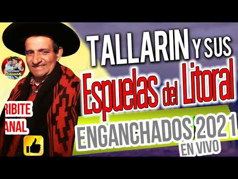 TALLARIN EN VIVO 2021  - ESPUELAS DEL LITORAL - 3794508856