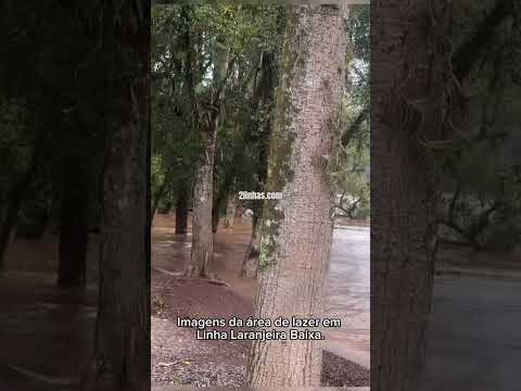 🌊 Rio Uruguai avança e provoca alagamentos em Itapiranga, no Oeste de Santa Catarina