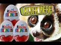 Surprise Eggs Toys NEW Christmas 2014/2015 ...