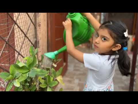 Batool on importance of trees