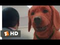 Clifford The Big Red Dog 2021 At The Vet Scene 4 10 Movieclips