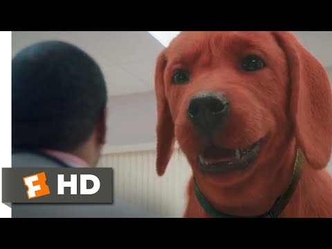 Clifford the Big Red Dog (2021) - At the Vet Scene (4/10) | Movieclips