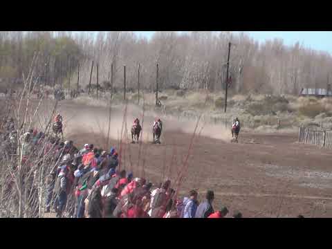 RELAMPAGO  Club Hipico Cabo Alarcon   Picun Leufu   Neuquen    27 08 2023