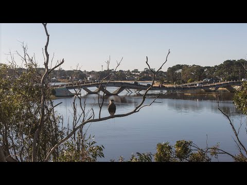 José Ignacio desde el Faro: un viaje entre laguna y Barra. Maldonado, Uruguay.