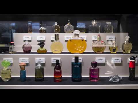 Perfumum La storia del profumo