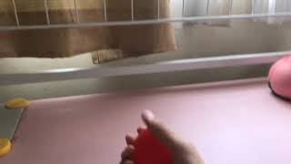 持ってるスクイーズで音フェチ