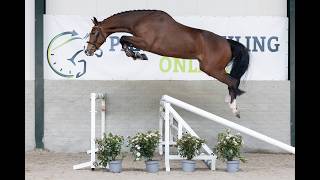 Jumping & movement