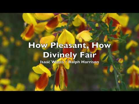 348 How Pleasant, How Divinely Fair