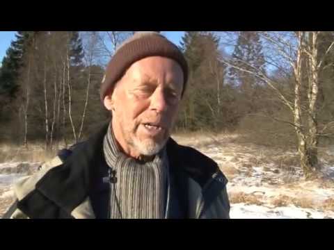 Hvidstengruppen - tilfangetagelsen