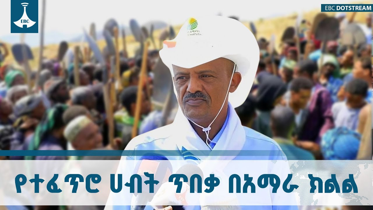 በአማራ ክልል የተቀናጀ የተፈጥሮ ሀብት ልማትና ጥበቃ ስራ በደቡብ ወሎ ዞን በአርጎባ ?