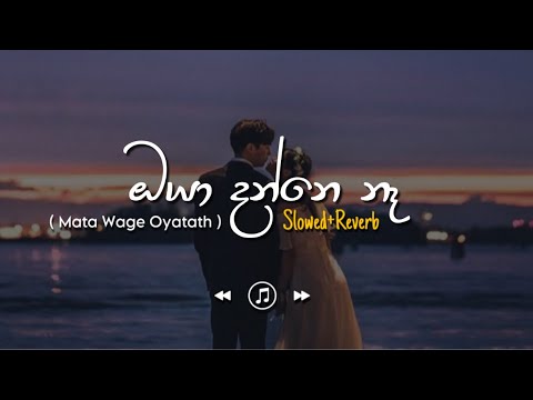 Oya Danne Na - ඔයා දන්නෙ නැ (Slowed+Reverb)