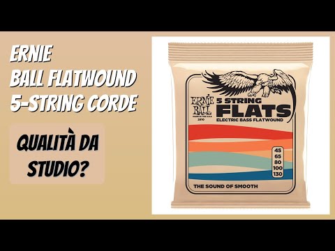 RECENSIONE (2026) : Ernie Ball Flatwound 5-string Corde. DETTAGLI