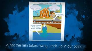 Where does our street litter go?