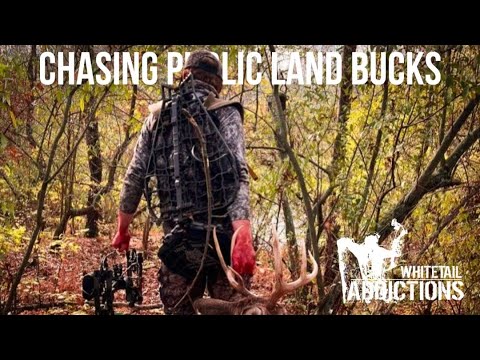 FOUR BUCKS ON PUBLIC LAND IN ONE SEASON with Jace Allen
