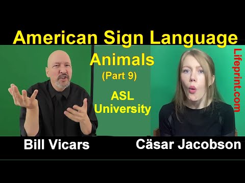 Lesson 12 Story B Cäsar Jacobson Dr Bill ASLU Lifeprint com American Sign Language ASL