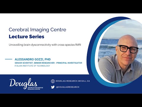 Unravelling brain dysconnectivity with cross-species fMRI