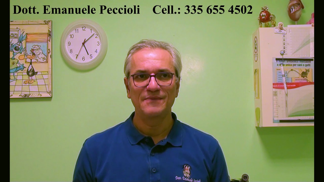 Watch Now Dott. Emanuele Peccioli - Come riconoscere il morbo di Addison Dott. Emanuele Peccioli - Come riconoscere il morbo di Addison