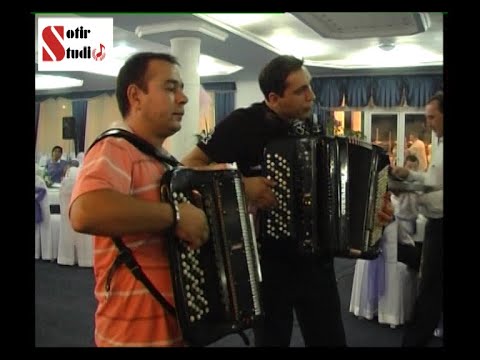 Dejan Kostic Mocart i Aca Nikolic Cergar   MIX SAMO HARMONIKE