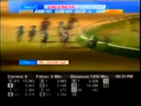 Resumen Viernes, 17 de Agosto de 2012 - Valencia