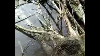 preview picture of video 'Охота на щуку в Валуйках в марте'