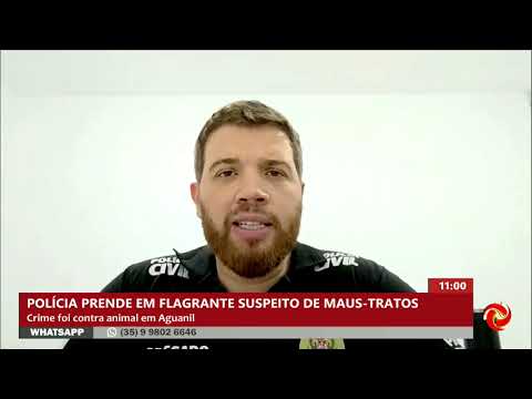 Homem é preso por maus-tratos contra cachorro em Aguanil