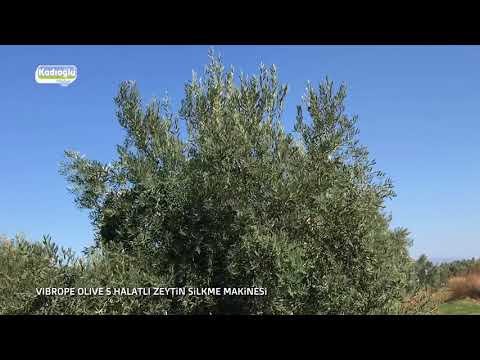 Halatlı Zeytin Silkme Makinası - Kadıoğlu Vibrope Olive S - 2017